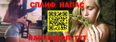 a pvp Свободный